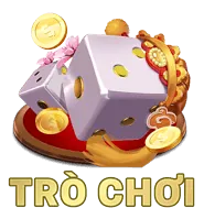 Email Hỗ trợ 99vz code